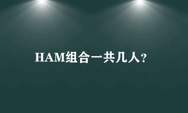 HAM组合一共几人？