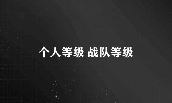 个人等级 战队等级