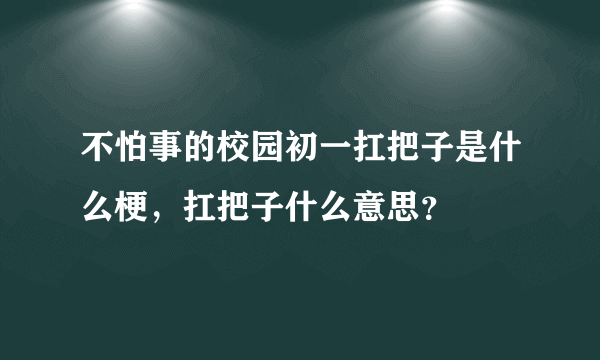 不怕事的校园初一扛把子是什么梗，扛把子什么意思？