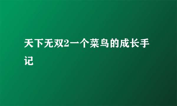 天下无双2一个菜鸟的成长手记