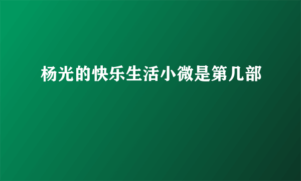 杨光的快乐生活小微是第几部