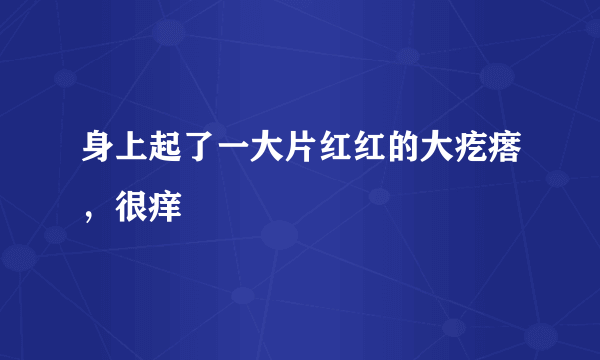 身上起了一大片红红的大疙瘩，很痒