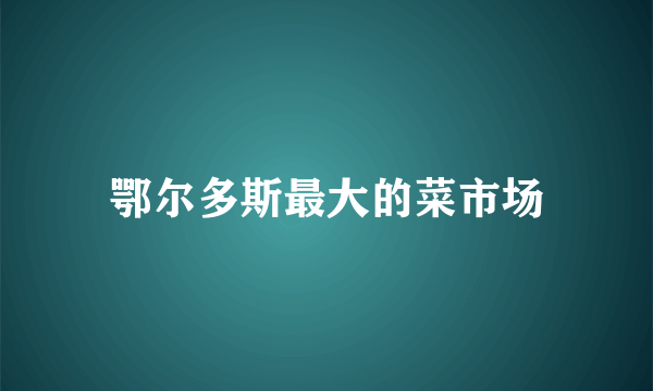 鄂尔多斯最大的菜市场