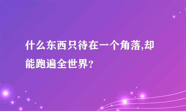 什么东西只待在一个角落,却能跑遍全世界？