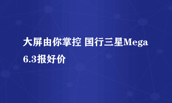 大屏由你掌控 国行三星Mega 6.3报好价