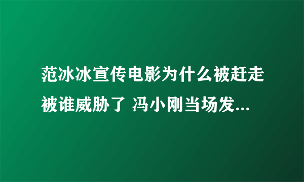 范冰冰宣传电影为什么被赶走被谁威胁了 冯小刚当场发飙愤然离场