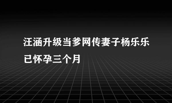 汪涵升级当爹网传妻子杨乐乐已怀孕三个月