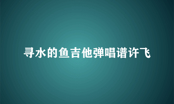 寻水的鱼吉他弹唱谱许飞