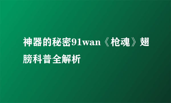 神器的秘密91wan《枪魂》翅膀科普全解析