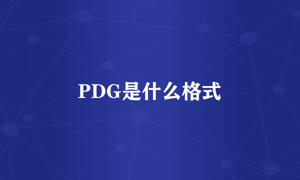 PDG是什么格式