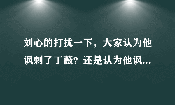 刘心的打扰一下，大家认为他讽刺了丁薇？还是认为他讽刺的好？