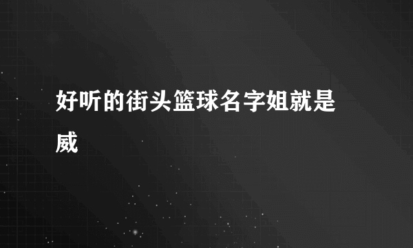 好听的街头篮球名字姐就是權威