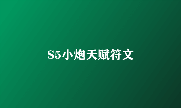 S5小炮天赋符文