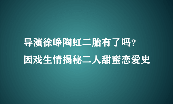 导演徐峥陶虹二胎有了吗？ 因戏生情揭秘二人甜蜜恋爱史