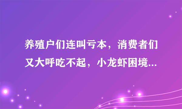 养殖户们连叫亏本，消费者们又大呼吃不起，小龙虾困境如何破解？