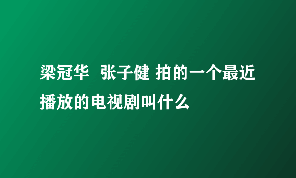 梁冠华  张子健 拍的一个最近播放的电视剧叫什么