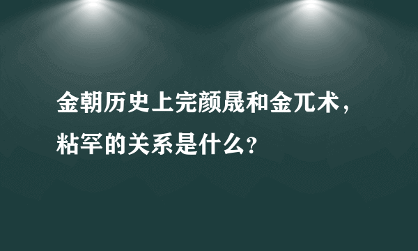 金朝历史上完颜晟和金兀术，粘罕的关系是什么？