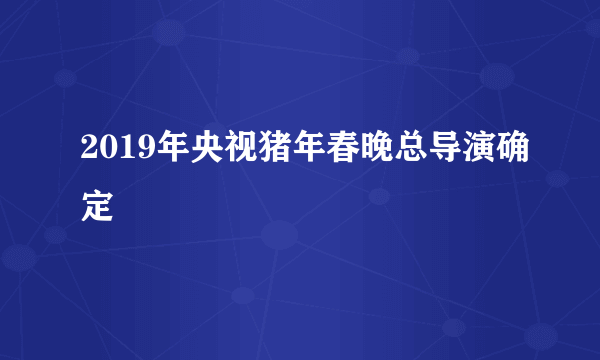 2019年央视猪年春晚总导演确定