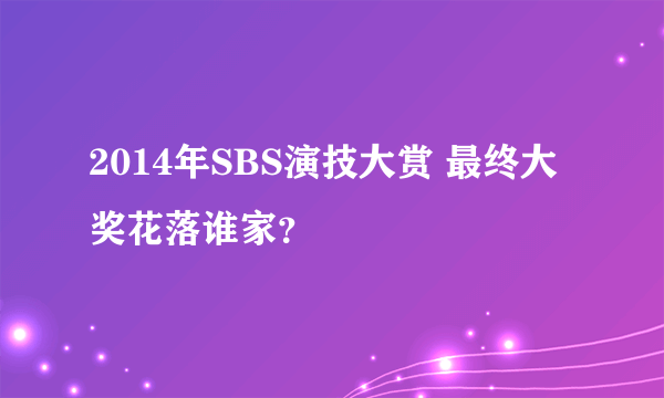 2014年SBS演技大赏 最终大奖花落谁家？