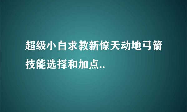 超级小白求教新惊天动地弓箭技能选择和加点..