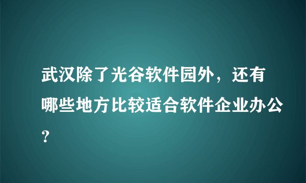 武汉除了光谷软件园外，还有哪些地方比较适合软件企业办公？